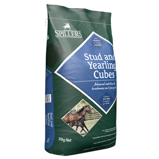 Stud and Yearling Cubes